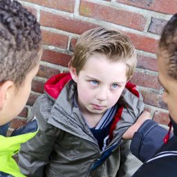 IL BULLISMO, parte II – GLI ATTORI DEL BULLISMO